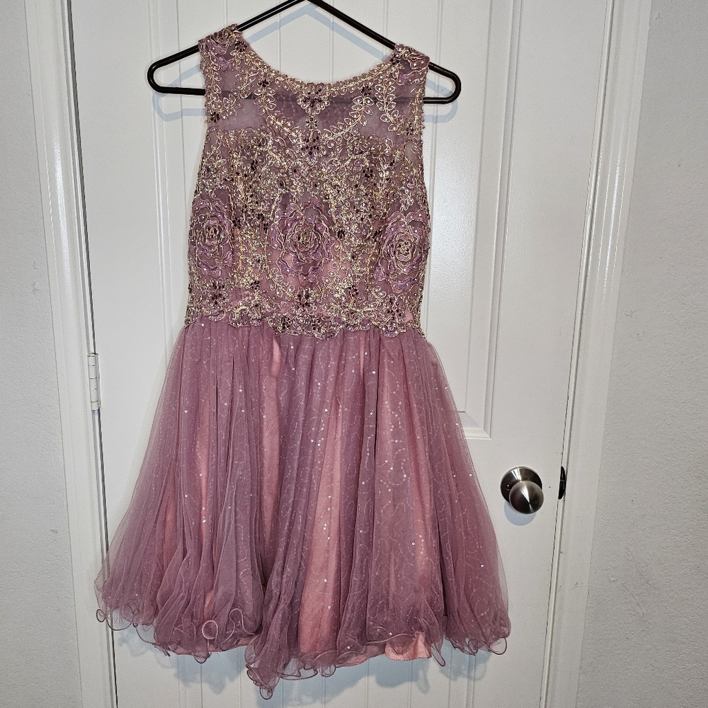 Savoy’s Bellezza Mauve Pink Gold Embroidered Tulle Cocktail Dress Size Large